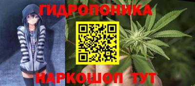 гидра Мариинск