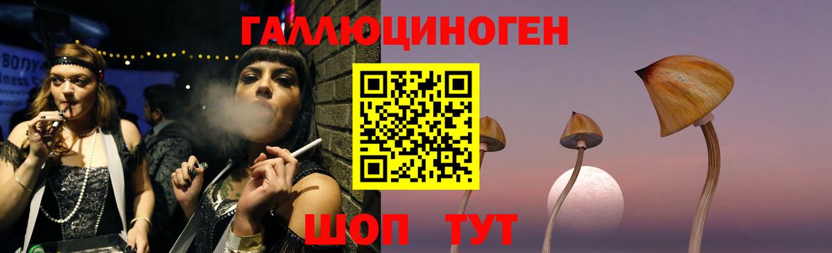 Галлюциногенные грибы мухоморы  Вход с VPN  Елизово 